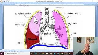 Trauma in Arabic 25  Haemothorax   by Dr Wahdan [upl. by Hctud]