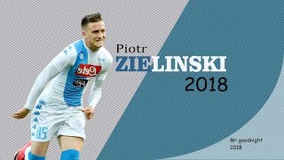 Piotr Zieliński Skills amp Goals  Napoli  20172018 [upl. by Nylave59]