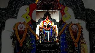 Dt  301124  Bamana khetraUrali  Jay Jagannath  jagannath kalia mahaprabhu urali [upl. by Demy796]