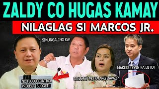 JUST IN ZALDY CO NAGHUGAS KAMAY NA NILAGLAG SI PBBM VP SARA DPWH EBIDENSIYA NILABAS ni VILLANUEVA [upl. by Lotsirb72]