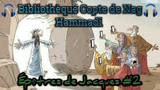 🔊AUDIO🕪 BIBLIOTHÈQUE COPTE DE NAG HAMMADI Evengiles Cachés amp Épîtres De Jacques 2 🕇📖 [upl. by Becca208]