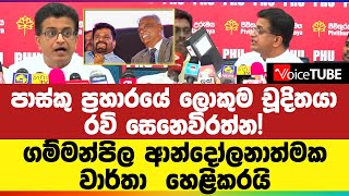 ලොකුම චූදිතයා රවි සෙනෙවිරත්න ගම්මන්පිල ආන්දෝලනාත්මක වාර්තා හෙළිකරයි [upl. by Ambert]