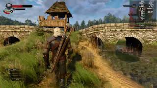 The Witcher 3 DLSS 3 Performance on Linux [upl. by Iot]