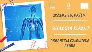 Biologia klasa 7 Organizm człowieka jako całość Skóra Uczymy się razem [upl. by Orimlede]