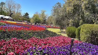 Flower Festival Floriade Canberra flower festival floriade canberra viralfoodtrip video [upl. by Naira]