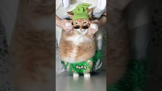 قطك سينقذك في هذه المواقف🐈💙 [upl. by Sherrer669]