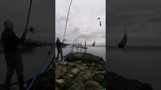 Mostyn docks Sea fishing what a place seafishing fishing uk like subscribe catchandrelease [upl. by Octavia]