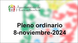 Pleno Extraordinario del 8 de noviembre de 2024 [upl. by Kcirdor888]