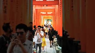 Fushimi Inari Taisha Stroll [upl. by Vona878]