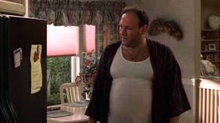 Tony mad at Janice broke his phone  The Sopranos HD [upl. by Vasilek]