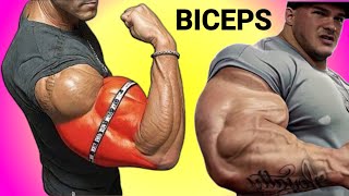 How to build big biceps and triceps  Biceps and triceps workout [upl. by Nolat]