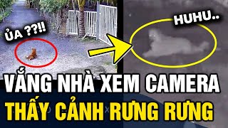 Vắng nhà XEM CAMERA cô gái bỗng RƯNG RƯNG vì hành động của chú chó nhà hàng xóm  Tin 3 Phút [upl. by Anelis173]