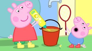 Peppa Pig and George Pig Play With Bubbles  Peppa Pig Official Family Kids Cartoon [upl. by Stalker]