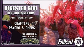 Where to Find Digested Goo amp Pitcher Plant  Best Adhesive Farm in Fallout 76  Crafting Psycho Chem [upl. by Ahsok]