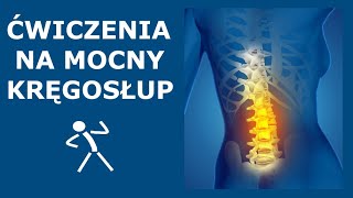 Ćwiczenia na stabilny i mocny kręgosłup  Stabilizacja głęboka kręgosłupa  Ćwiczenia CORE [upl. by Ennaitak]