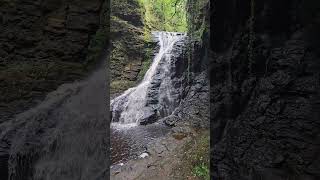 Actively Northumberland  Hareshaw Linn Waterfall shortsvideo shorts short waterfall shortsfeed [upl. by Nilya]