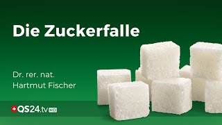 Die Zuckerfalle  Dr rer nat Hartmut Fischer  Naturmedizin  QS24 Gesundheitsfernsehen [upl. by Thorstein]