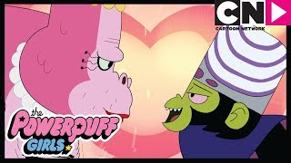 Powerpuff Girls  Mojo Jojo in Love  Cartoon Network [upl. by Lakin]