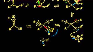 Acidcatalyzed ester hydrolysis  Organic chemistry  Khan Academy [upl. by Diarmid]