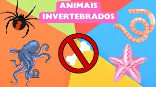 Os animais invertebrados  Aprendizado para as crianças [upl. by Atinuhs]