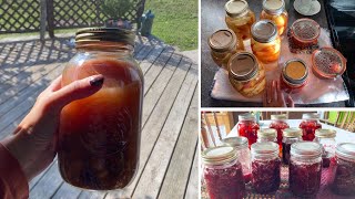 Why I can so much food and how I got started canning homemaker foodinjars [upl. by Alacim]