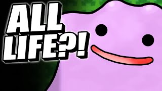 EVERYTHING Is Ditto  Pokemon Scarlet And Violet  Pokemon Theory [upl. by Nalorac417]