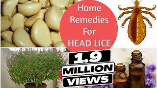 Top 5 Home Remedies To Get Rid Of Head LICE amp Nits  Sushmitas Diaries [upl. by Kennith]