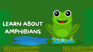 Leap into Learning The Wonderful World of Amphibians kids video [upl. by Ardek]