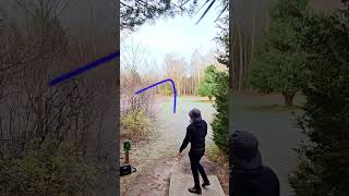 17 SPEED Disc Golf Disc discgolfcourse outdoors playdiscgolf discgolfdaily discgolf [upl. by Adamis]