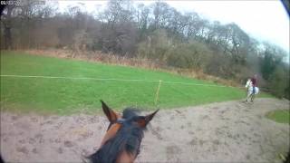 Somerford Park Farm Ride 2017 [upl. by Saxen753]