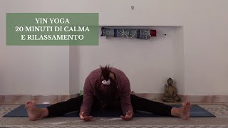 Yin Yoga  20 Minuti per Distendere Corpo e Mente [upl. by Alister145]