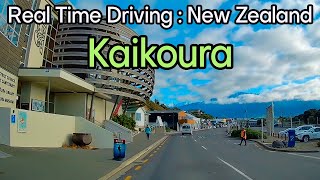 Real Time Driving  Kaikoura New Zealand [upl. by Nodroj427]