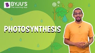 Photosynthesis How Plants Make Food  Learn with BYJU’S [upl. by Diraj798]