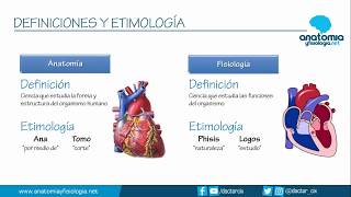 INTRODUCCIÓN  Resúmenes de Anatomía y Fisiología [upl. by Norat728]