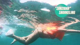 Snorkeling In Chumbe Reef Zanzibar [upl. by Amador579]