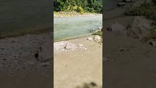 Rishikesh travel nature forest river ganga [upl. by Alvin980]