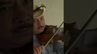 El borrachito estosiestierracaliente violin michoacan music [upl. by Amund]