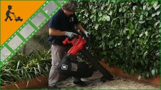 Einhell GCEL 3000 E leaf blower and garden vacuum  3000 W power  Customers operating video [upl. by Nuriel]