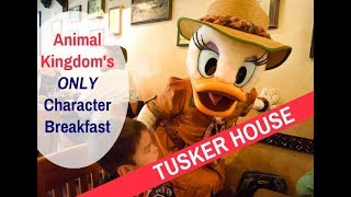 Tusker House Breakfast at Animal Kingdom Review  Top Breakfasts at Walt Disney World [upl. by Wilkie435]