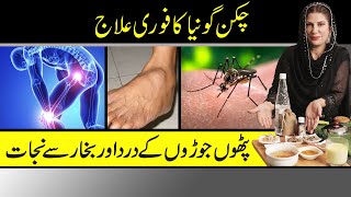 chikungunya Natural Home Remedies  چکن گونیا کا علاج  Fever amp Joint Pain  Dr Bilquis Shaikh [upl. by Sothena631]