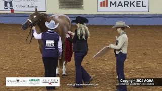 2024 AQHA Amateur 2YearOld Geldings World Champion [upl. by Aicatsana]