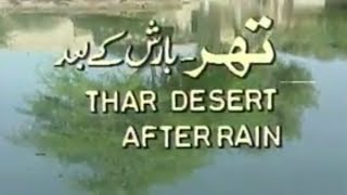 Thar After Rain produced by PTV producer Nazimuddin for Pakistan Television [upl. by Linsk]