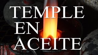 ¿QUE ACEITE USO PARA TEMPLAR [upl. by Redleh]