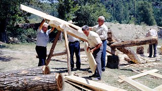 ASERRADORES y CORTADORES DE MADERA en el bosque Transformación de troncos en tablas  Documental [upl. by Amary]