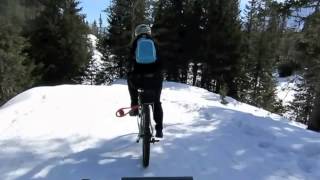 Alta Val Pusteria  discesa da Malga Nemes in MTB su neve [upl. by Mond]