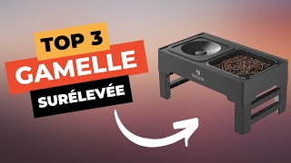 🔥 TOP 3  Meilleure Gamelle Surélevée pour Chien 2024 [upl. by Airamana]