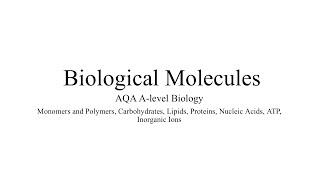 MONOMERS AND POLYMERS AQA ALevel Biology amp Exam Style Question [upl. by Dickey]