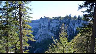 beneath the surface ♡ unguided meditation amp yoga [upl. by Maryellen]