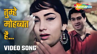 तुम्हे मोहब्बत है  Tumhe Mohabbat Hai  HD Video Songs  Ek Musafir Ek Hasina 1962 Sadhana Joy M [upl. by Aztilay]