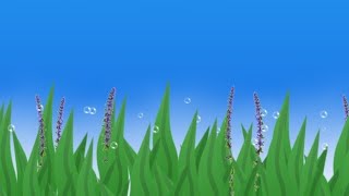 AQUARIUM GAME SATISFYING LIVE EP1 [upl. by Daveta688]